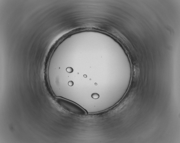 X0000113891020200910151330