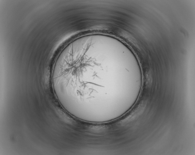 X0000113891021200910151330