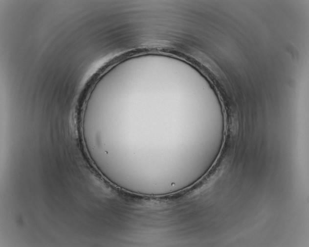 X0000113891022200910151330