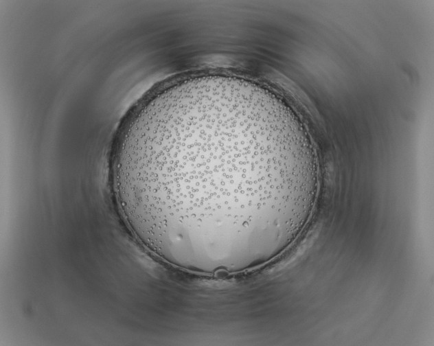 X0000113891023200910151330