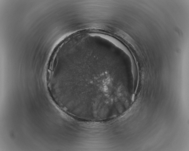 X0000113891024200910151330