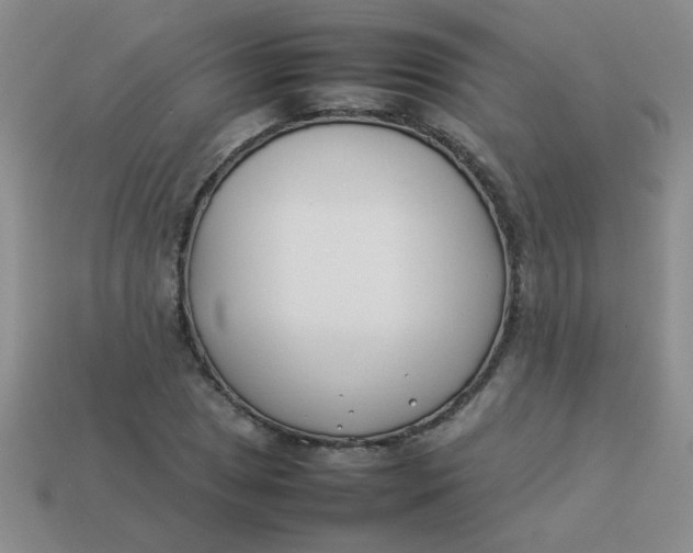 X0000113891025200910151330