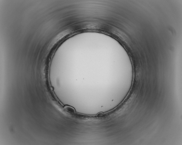 X0000113891026200910151330