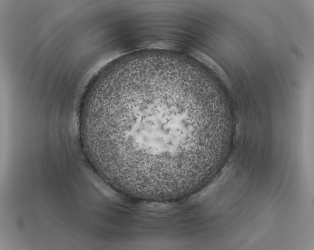 X0000113891027200910151330