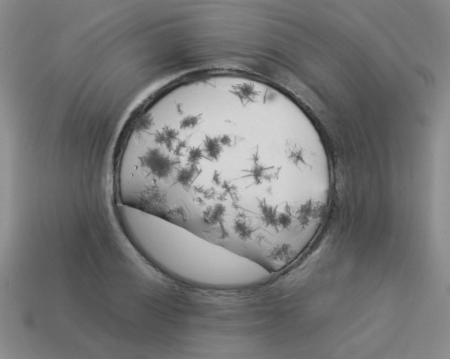 X0000113891028200910151330