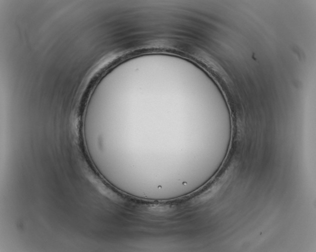 X0000113891029200910151330