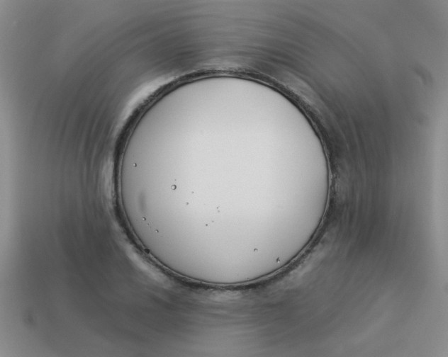 X0000113891030200910151330