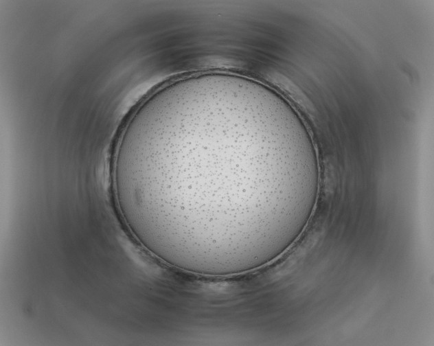 X0000113891031200910151330