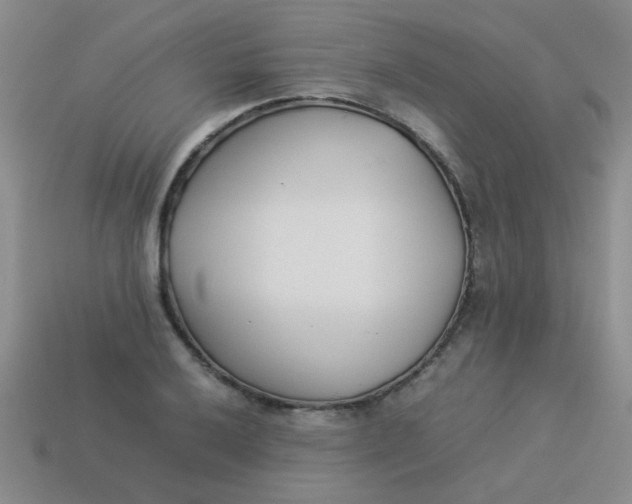 X0000113891032200910151330