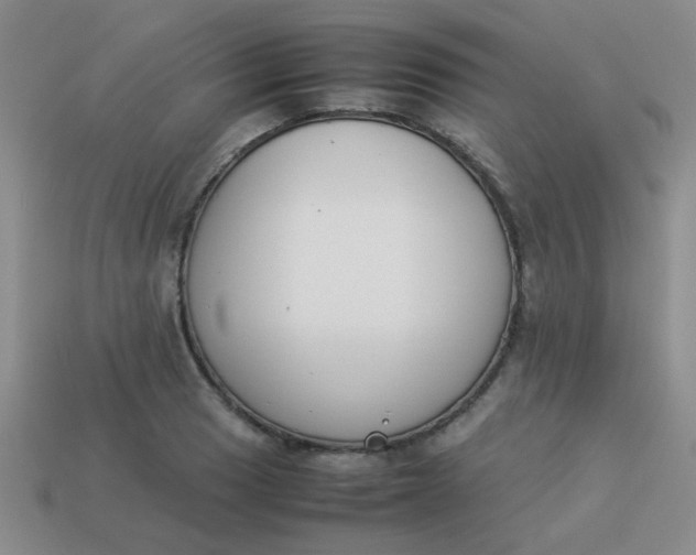 X0000113891033200910151330