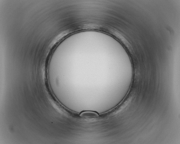 X0000113891034200910151330