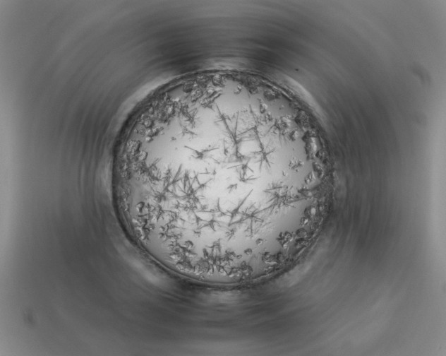 X0000113891035200910151330