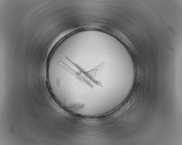 X0000113891036200910151330