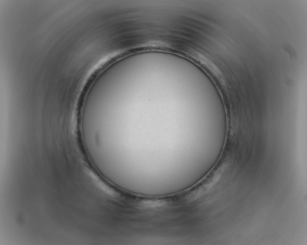 X0000113891037200910151330