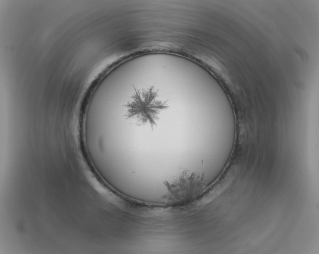 X0000113891038200910151330