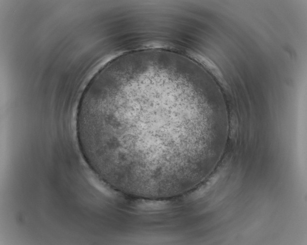 X0000113891039200910151330