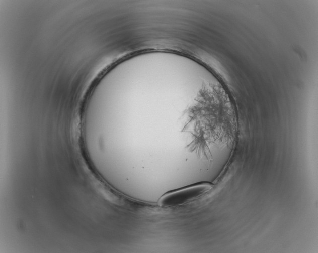 X0000113891040200910151330