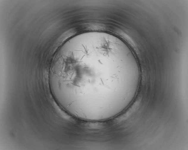 X0000113891041200910151330