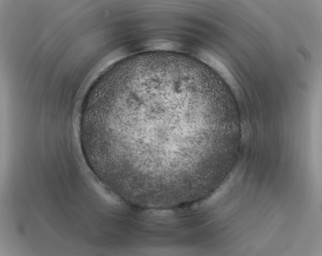 X0000113891043200910151330