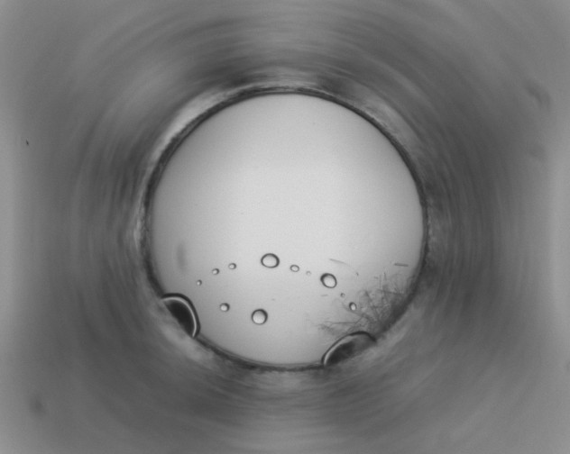 X0000113891044200910151330