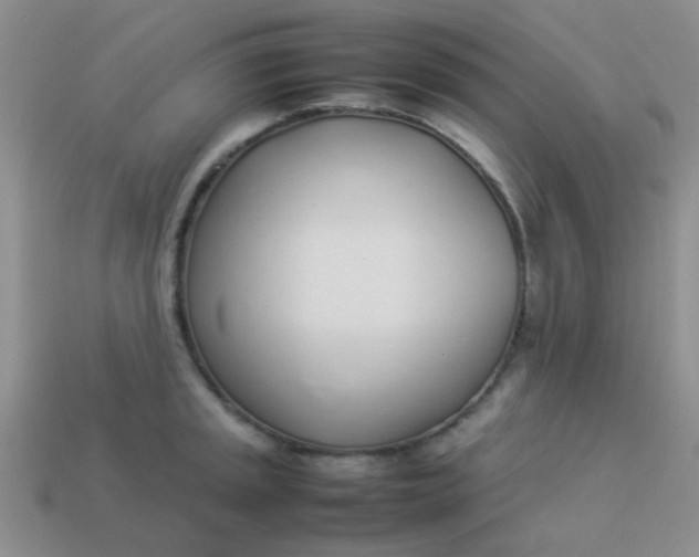 X0000113891045200910151330