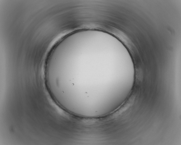 X0000113891046200910151330