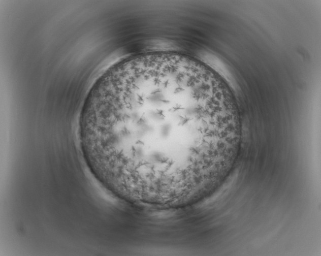 X0000113891047200910151330