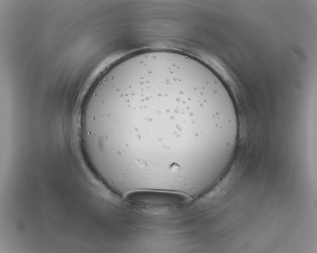 X0000113891048200910151330