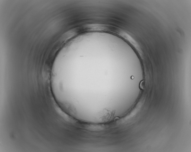 X0000113891049200910151330