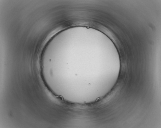 X0000113891050200910151330