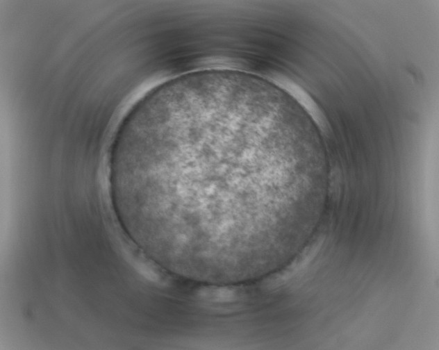 X0000113891051200910151330