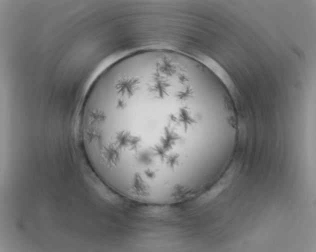 X0000113891052200910151330