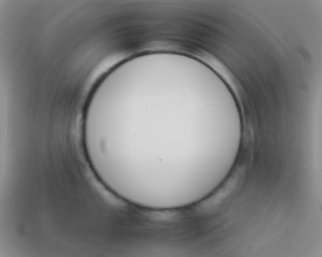 X0000113891053200910151330