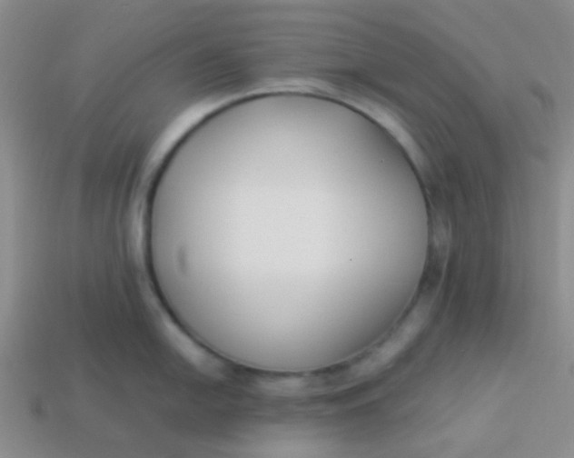 X0000113891054200910151330