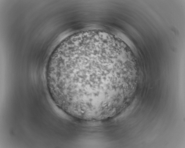 X0000113891055200910151330