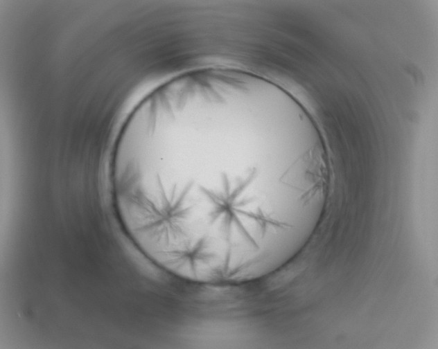 X0000113891056200910151330