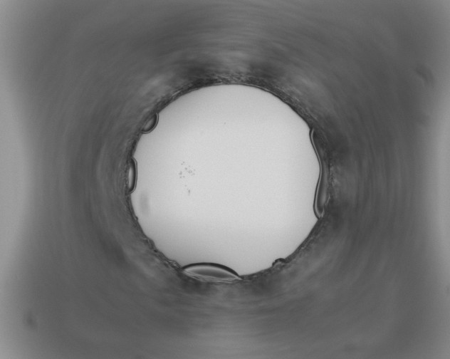 X0000113891057200910151330