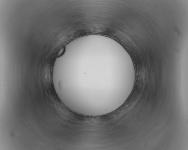 X0000113891058200910151330