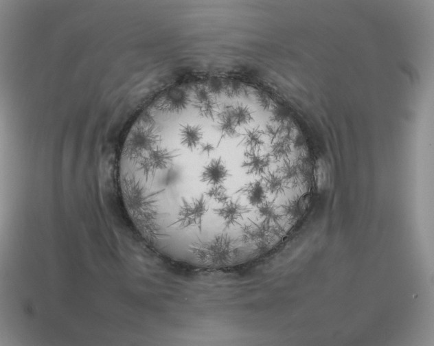 X0000113891059200910151329