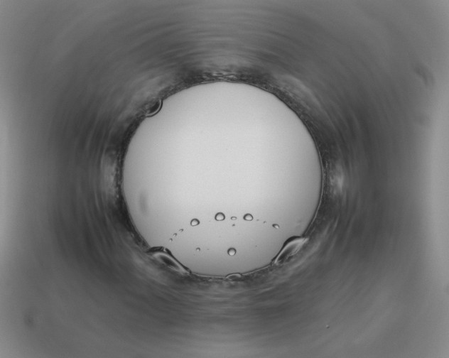 X0000113891060200910151329