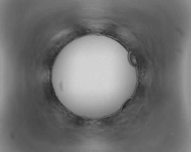 X0000113891061200910151329