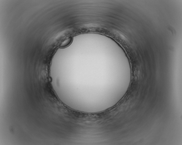 X0000113891062200910151329