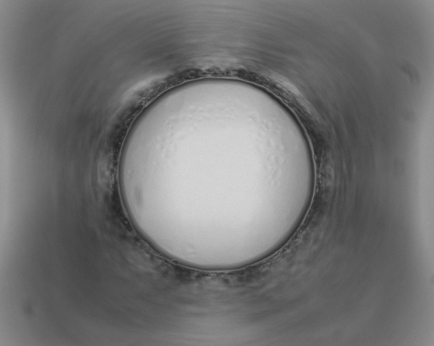 X0000113891063200910151329