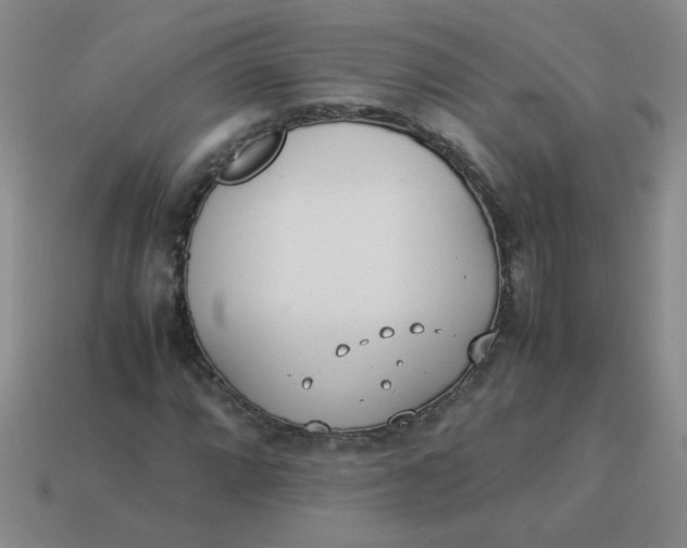 X0000113891064200910151329