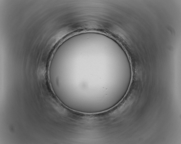 X0000113891065200910151329