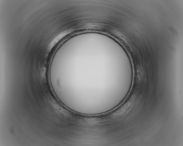 X0000113891066200910151329