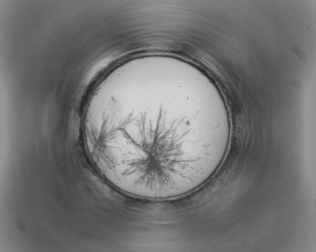 X0000113891067200910151329