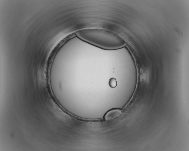 X0000113891068200910151329