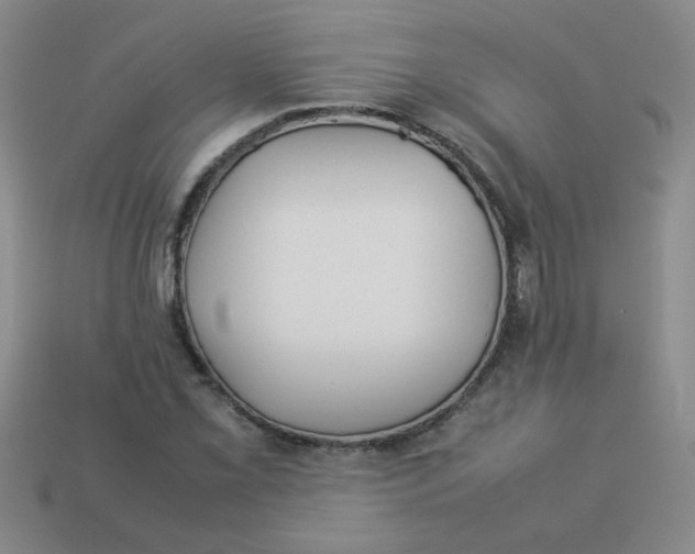 X0000113891069200910151329