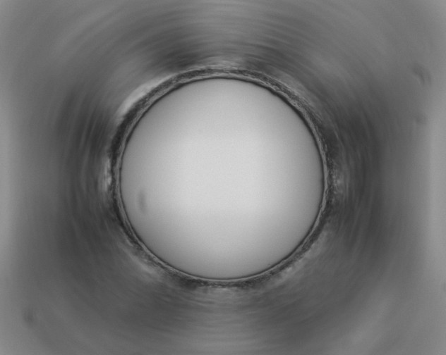 X0000113891070200910151329